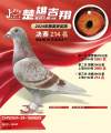 图片暂时未上传