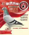 图片暂时未上传