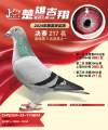 图片暂时未上传
