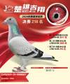 图片暂时未上传