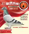 图片暂时未上传