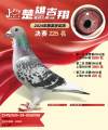 图片暂时未上传
