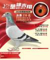图片暂时未上传
