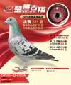 图片暂时未上传
