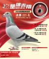 图片暂时未上传