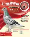 图片暂时未上传