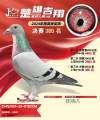 图片暂时未上传