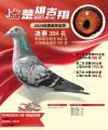 图片暂时未上传