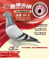 图片暂时未上传