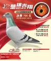 图片暂时未上传