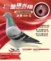 图片暂时未上传