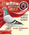 图片暂时未上传