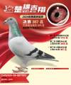 图片暂时未上传