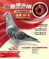 图片暂时未上传