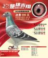 图片暂时未上传
