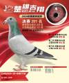 图片暂时未上传