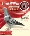 图片暂时未上传