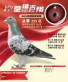 图片暂时未上传
