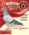 图片暂时未上传