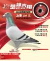 图片暂时未上传