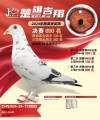 图片暂时未上传