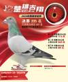图片暂时未上传