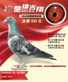 图片暂时未上传