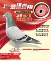 图片暂时未上传