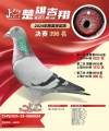 图片暂时未上传