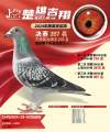 图片暂时未上传