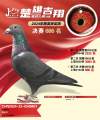 图片暂时未上传
