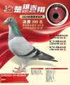 图片暂时未上传