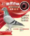 图片暂时未上传