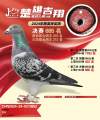 图片暂时未上传