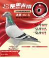 图片暂时未上传