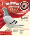 图片暂时未上传