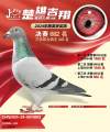 图片暂时未上传