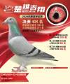 图片暂时未上传