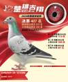图片暂时未上传