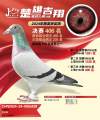 图片暂时未上传