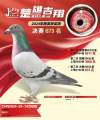 图片暂时未上传