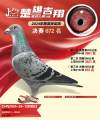 图片暂时未上传