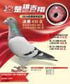 图片暂时未上传