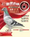 图片暂时未上传