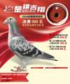 图片暂时未上传