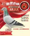 图片暂时未上传