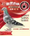图片暂时未上传