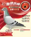 图片暂时未上传
