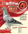 图片暂时未上传