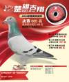 图片暂时未上传